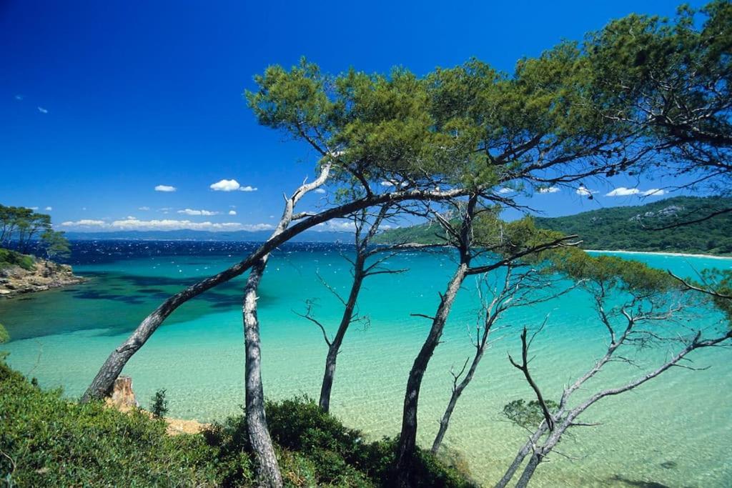Provence Verdon Tavernes Dış mekan fotoğraf